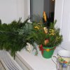 2011 &raquo; Adventní věnce 2011